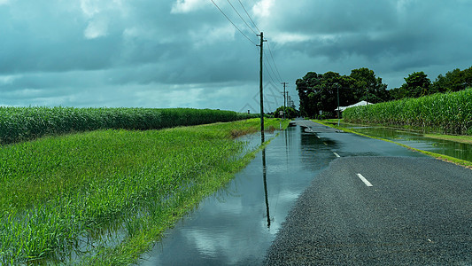 甘蔗田到洪水的重雨原因农民气候雨量气氛天气渠道生产灌溉农业土地图片