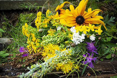五颜六色的药用植物花束 用于替代医学和美容的各种治疗草药和花卉图片