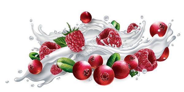 酸奶或牛奶飞溅中的蔓越莓和覆盆子图片