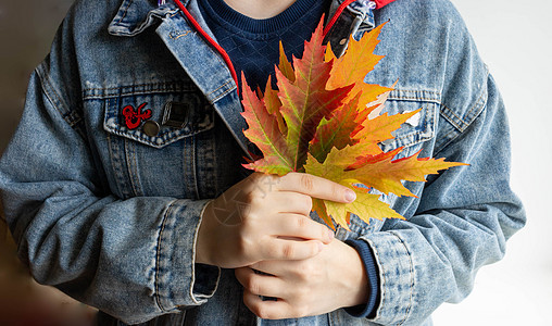 美丽多彩的秋色秋叶绿树叶 落在一个穿着牛仔夹克的女人手里持有成人季节晴天森林叶子女性女孩阳光感恩图片