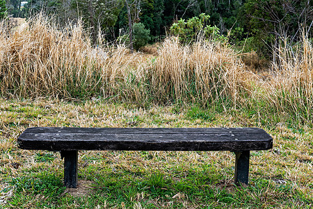 布什的旧被遗忘的木材座座位灌木丛沉思雨林树干情绪木头场地风化公园图片