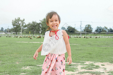 快乐的小女孩在牧羊场玩得开心图片