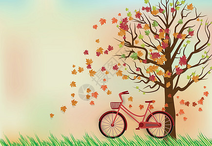 秋天 红色自行车在Mamele Tr下使用图片