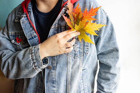 美丽多彩的秋色秋叶绿树叶 落在一个穿着牛仔夹克的女人手里女孩橙子森林女性女士叶子持有阳光成人季节图片
