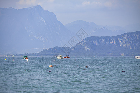 Lazise的加尔达湖全景 14图片