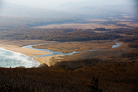 普里莫尔斯基地区锡克阿林生物圈保护区 戈卢赫纳亚湾和湖泊沙滩全景景点自然保护区环境落叶照片风光自然景观地标邻里领土图片