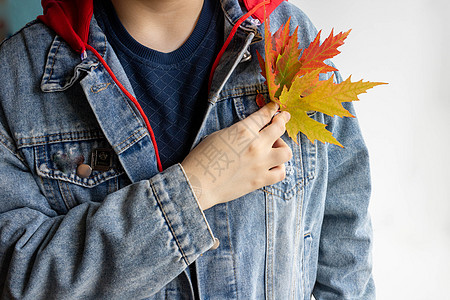 美丽多彩的秋色秋叶绿树叶 落在一个穿着牛仔夹克的女人手里叶子阳光女孩墙纸橙子晴天持有季节成人女性图片