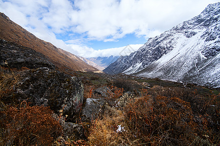 印度冬季伊始的山谷和山丘印度岩石爬坡风景环境森林天空场景悬崖首脑山脉图片