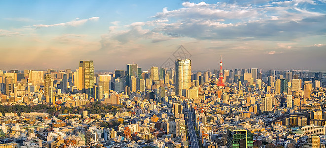 日本东京城市天际线的顶视图 东京skyli顶视图旅行彩虹办公室景观全景建筑学建筑天空地标摩天大楼图片