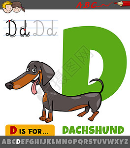 带有卡通 dachshund 狗的字母 D 工作表图片