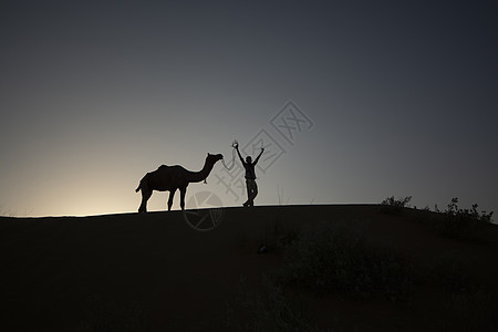黄昏时拍摄男孩和骆驼的太阳月光摄影图片