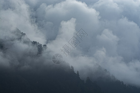 印度大吉林 清晨喷雾中的森林天空植物环境公园薄雾阴霾丘陵天气季节顶峰图片