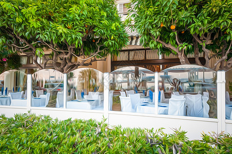法国餐馆 有橙树食物早餐椅子建筑街道酒吧桌子旅行假期房子图片
