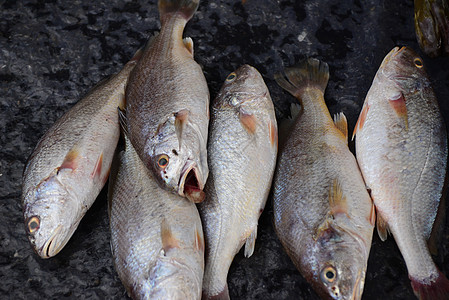 婚礼摄影在新鲜海产食品市场销售海鲜黄鱼食物彩色鲷鱼静物饮食摄影图片大黄鱼背景