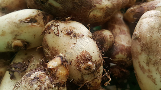 收看供市场销售的塔罗蔬菜堆农业有机食品收获异国营养块茎菌类健康原生态热带图片