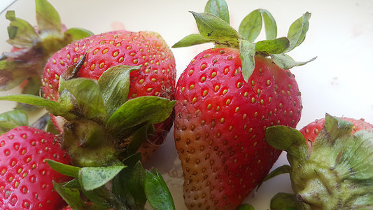新鲜草莓的顶端景色 在盘子上 生锈白木背景饮食营养浆果水果美食食物叶子甜点绿叶早餐图片