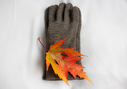 灰色手套 上面有白背景的红叶 与世隔绝 秋天的概念森林橙子配件活动橡木落叶羊毛旅游极简配饰图片