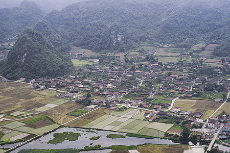 在越南兰子山谷Bac Son山谷的收获季节打稻田植物场地农场土地文化阳台生态环境收成农业图片