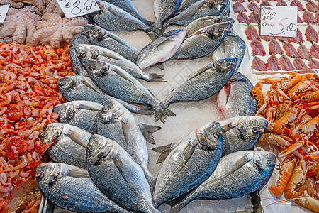 出售的鱼和海鲜乌贼海洋盐水美食食物钓鱼鱿鱼市场营养销售图片