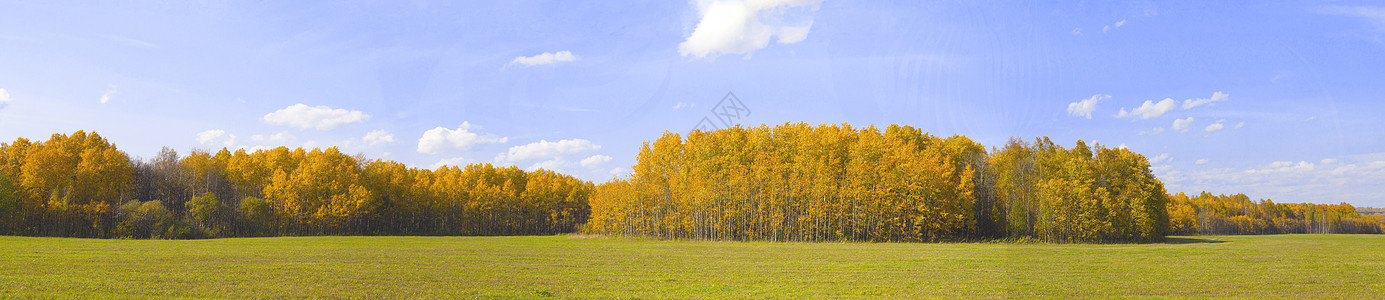 全景的秋天自然 黄树林和田野的秋天蓝色橙子风景颜色农村环境公园天空绿叶木头图片