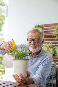 退休老人正在给自己的小工厂浇水 同时放松父亲园艺陶器男人植物祖父后院花朵生活绅士图片