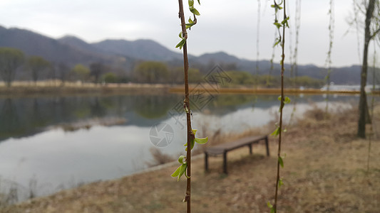 可以看到大山上河流水和绿树的美丽景象风景晴天植物地平线环境天空季节丘陵爬坡场景图片