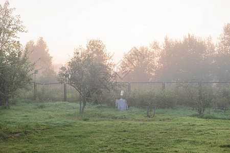 浓雾 村里的乡村景色 在早起的荒雾中栅栏薄雾场地村庄国家顶峰草地风景阳光环境图片