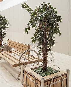 大型木制大工厂的人工绿色植物 供家庭装饰和办公室使用 无需治疗;购物中心其余地区的内地 (一) 建筑图片