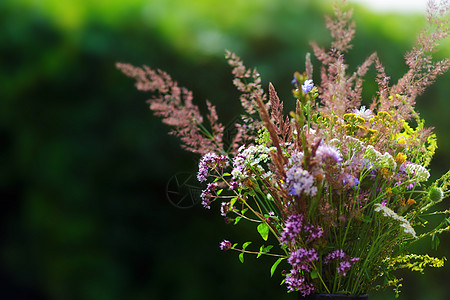 在花园花瓶里盛着野花玻璃草地摄影国家荒野园艺乡村草本植物场地雏菊图片