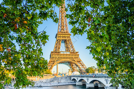 巴黎的艾菲尔塔 法国通过绿叶看望图片