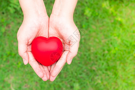 女性手上握着红心 献血概念世界机构压力孩子帮助心脏病学治愈捐款移植输血图片