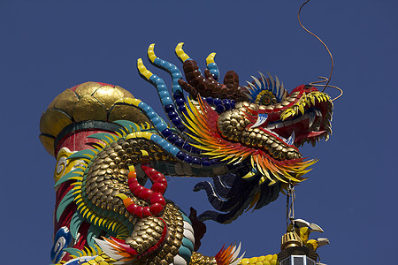 中国寺庙柱子上的龙雕像财富蓝色天空节日动物建筑学艺术雕塑异国庆典图片
