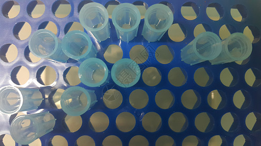 在带有空洞的微滴盒中 特写蓝色微升小提示的视图液体生物学科学微管测序生物生命科学研究员技术器具图片