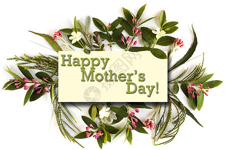 生日庆典 母亲节卡片 鲜花和绿丝带 平整的躺下 最顶尖的风景贺卡植物群展示小样礼物女士横幅母亲木板刻字图片