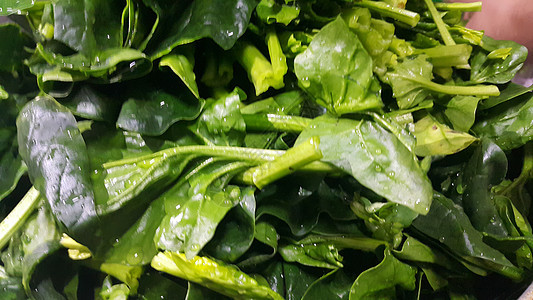 近距离观看菠菜蔬菜的红绿叶子 植物本底叶菜类香菜美食香草宏观绿色食物素叶养分香料图片