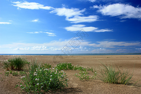 夏季风景 绿草 道路和云雾草地阳光太阳土地场地环境农业国家日落爬坡图片