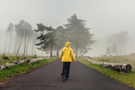 漫步在迷雾的路上树木自由游客女性冒险农村公园小路旅行森林图片