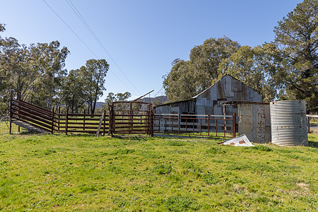 澳大利亚区域绿地的古老生锈棚子铁皮灰色树木农场场地绿色波纹牧场农业棕色图片