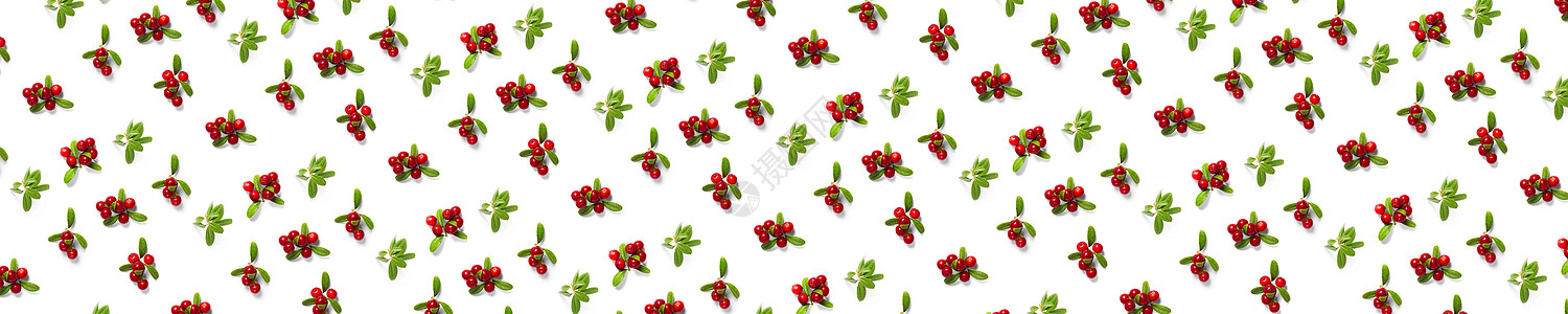 白色背景的林边草莓背景 新鲜牛莓或红莓 树叶作为背景药品宏观维生素植物食物浆果森林甜点图片