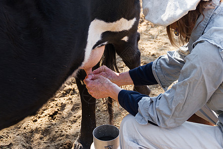 农村劳动妇女奶牛乳业农民女士背景乡村牧场动物国家哺乳动物牛奶挤奶工背景图片