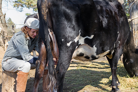 农村劳动妇女奶牛乳业女士奶制品农业牛奶乡村场地挤奶工农民国家牧场背景图片