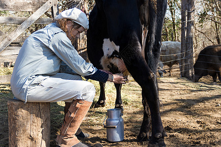 农村劳动妇女奶牛乳业国家哺乳动物工作农业风景牛奶场地农民乡村家畜图片