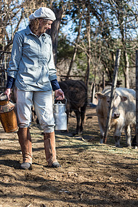 农村劳动妇女奶牛乳业农民女士工人场地农场国家牛奶动物风景农业背景图片