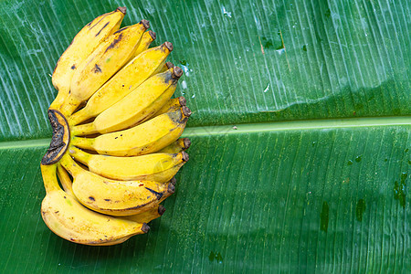 绿色香蕉叶上有一枝多汁的黄香蕉 果实丰盛的水果热带皮肤农业植物团体叶子花园食物生长茶点图片
