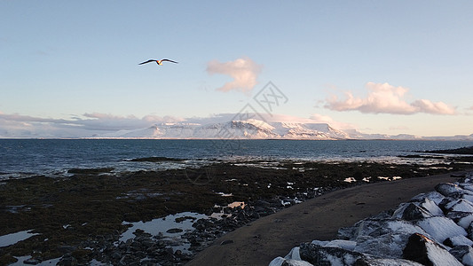 冬季风景 海洋海滩和冰原的黑火山沙风暴假期蓝色海浪石头编队火山沙滩海岸线海景图片