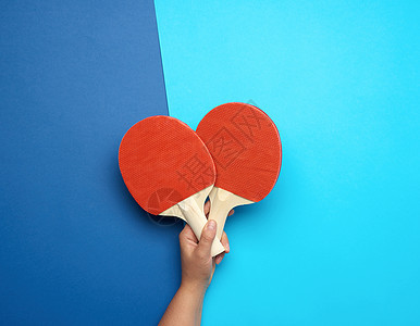 雌性手握着两只蓝背角的木制乒乓球棍图片