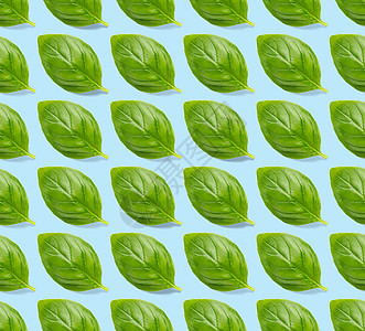 蓝色背景上的意大利罗勒叶草无缝图案由新鲜绿色罗勒平铺布局制成的创意无缝图案绿叶蔬菜树叶高架香料宏观农业植物叶子芳香图片