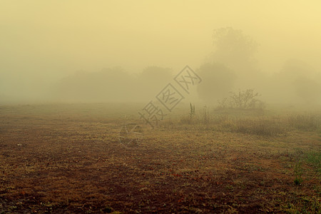 清晨全国雾雾状况地面薄雾高架飞沫湿度国家液体细雨水分图片