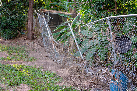 洪水水损坏的电线围栏金属烘干碎片气候垃圾棕榈维修地下水树木城市图片