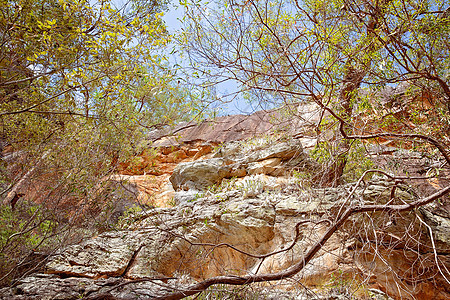 澳大利亚公园国家裂缝崎岖墙壁蓝色洞穴编队峡谷风景图片